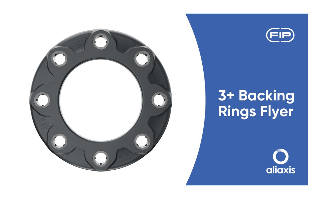 Leaflet nuove Flange 3+
