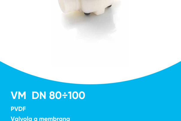 Catalogo PVDF VM DN 80-100