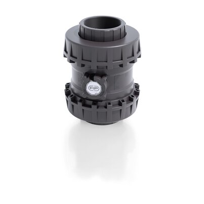 SSENV/A316 - Valvola di ritegno bighiera Easyfit a molla DN 65:100