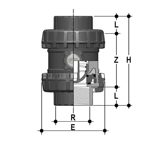 SSENV/A316 - Valvola di ritegno bighiera Easyfit a molla DN 65:100