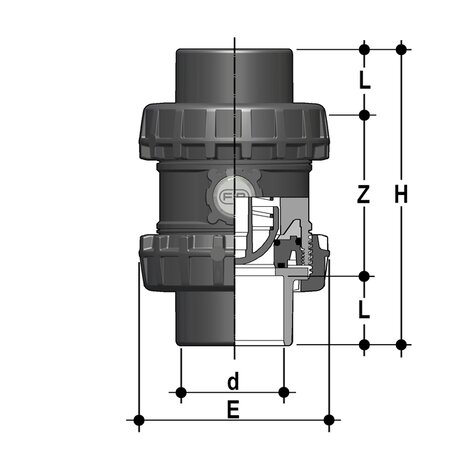 SSEJV/PTFE - Valvola di ritegno bighiera Easyfit a molla DN 65:100