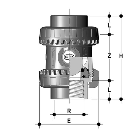 SXEFV - Easyfit true union ball and spring check valve DN 10:50