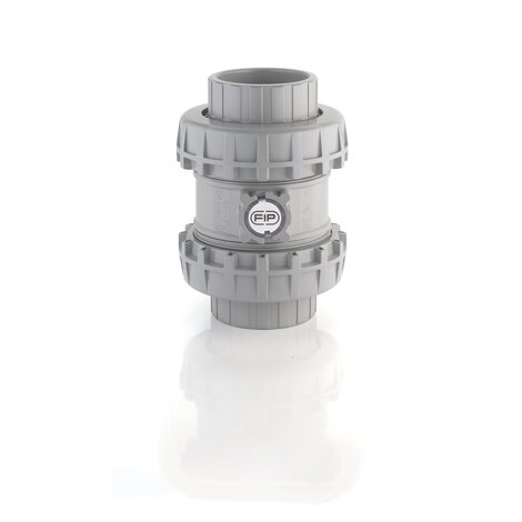 SSEIC/PTFE - Easyfit True Union spring check valve DN 65:100