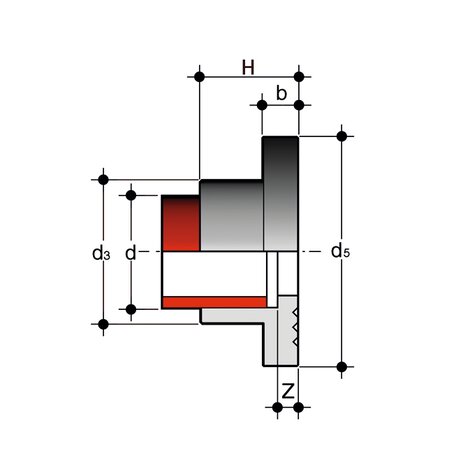 QRAM - Fitting for socket welding