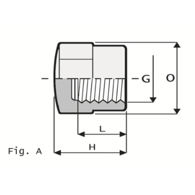 CA2 - End cap