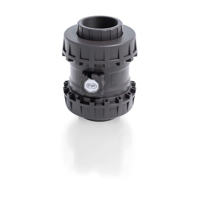 SSEGV/PTFE - Easyfit True Union ball and spring check valve DN 65:100