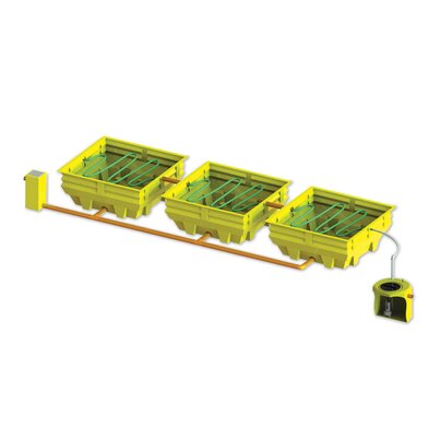 COUNTRY PLUS, reed bed system