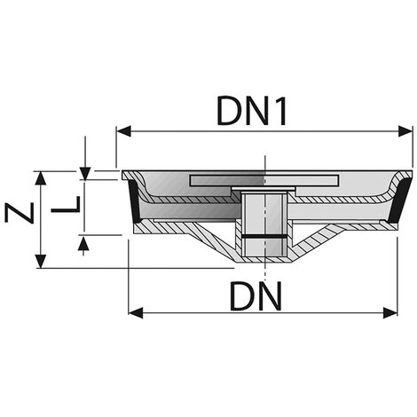 Plug for floor gully