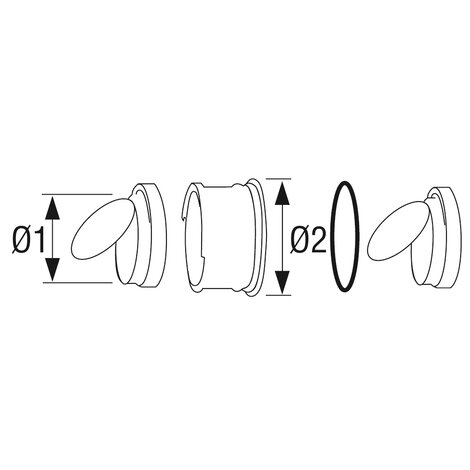 Double flap anti-backflow device