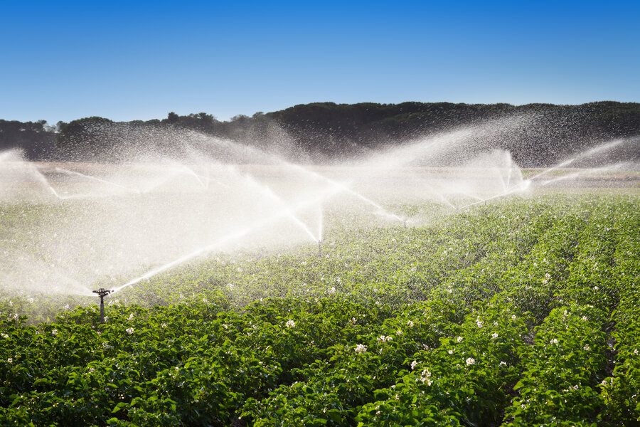 campo coltivato con impianto di irrigazione