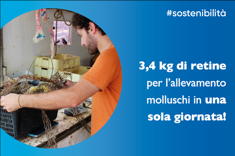 Il progetto Fishing for Litter: l'importante ruolo dei molluschi per la salute dei nostri mari