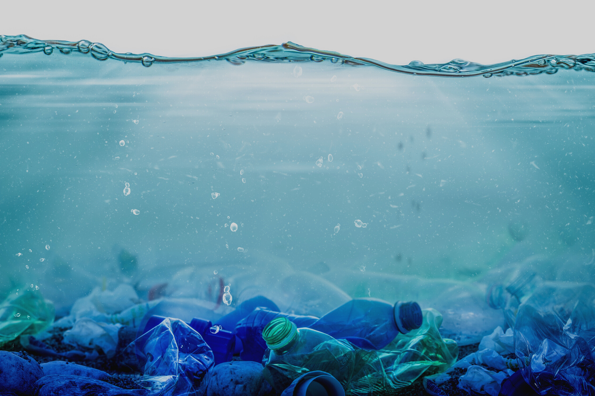 Aliaxis Italia con Sea the Change per la tutela dell'ecosistema marino: il progetto Fishing for Litter