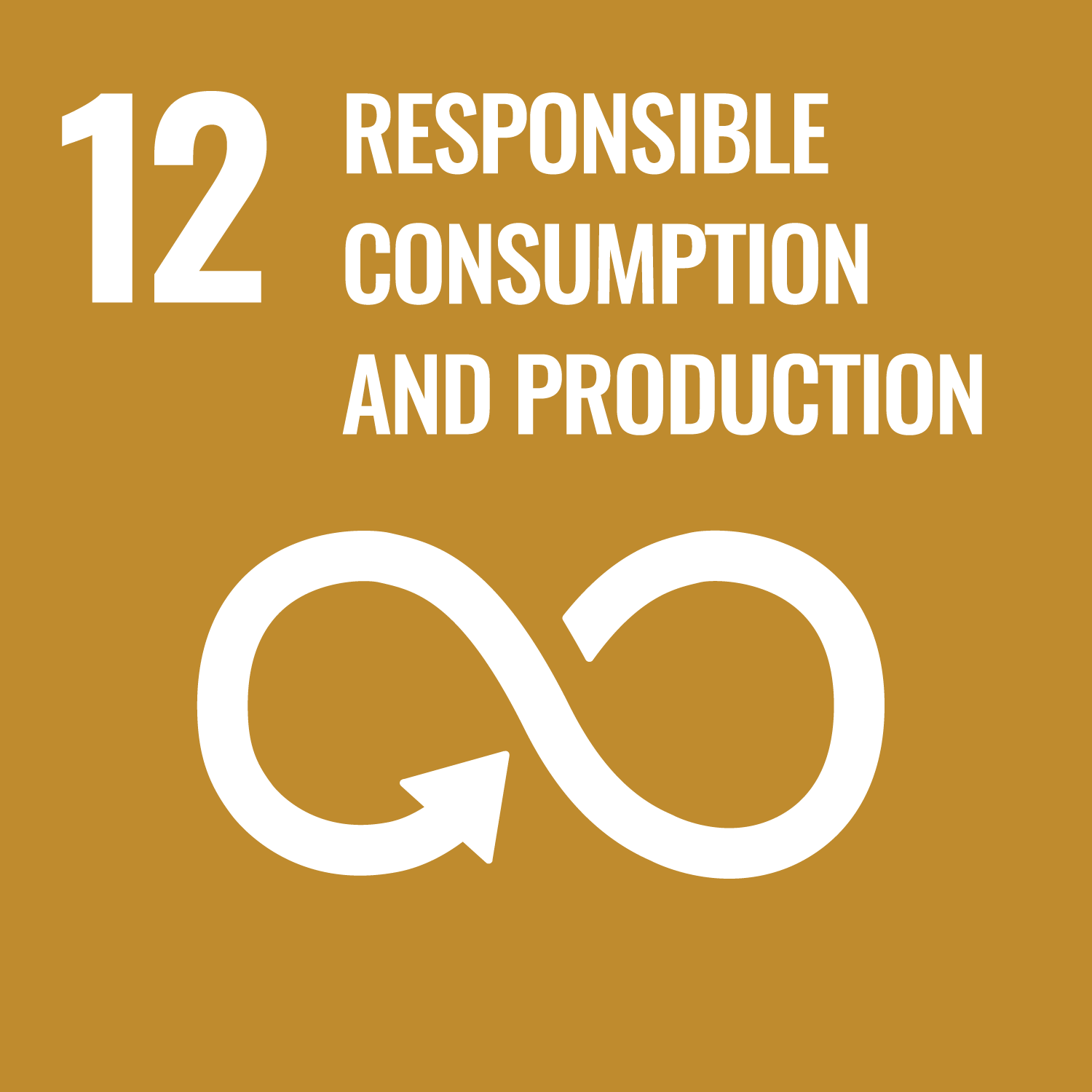 SDG 12 icon - UN Agenda 2030 of Sustainable Development