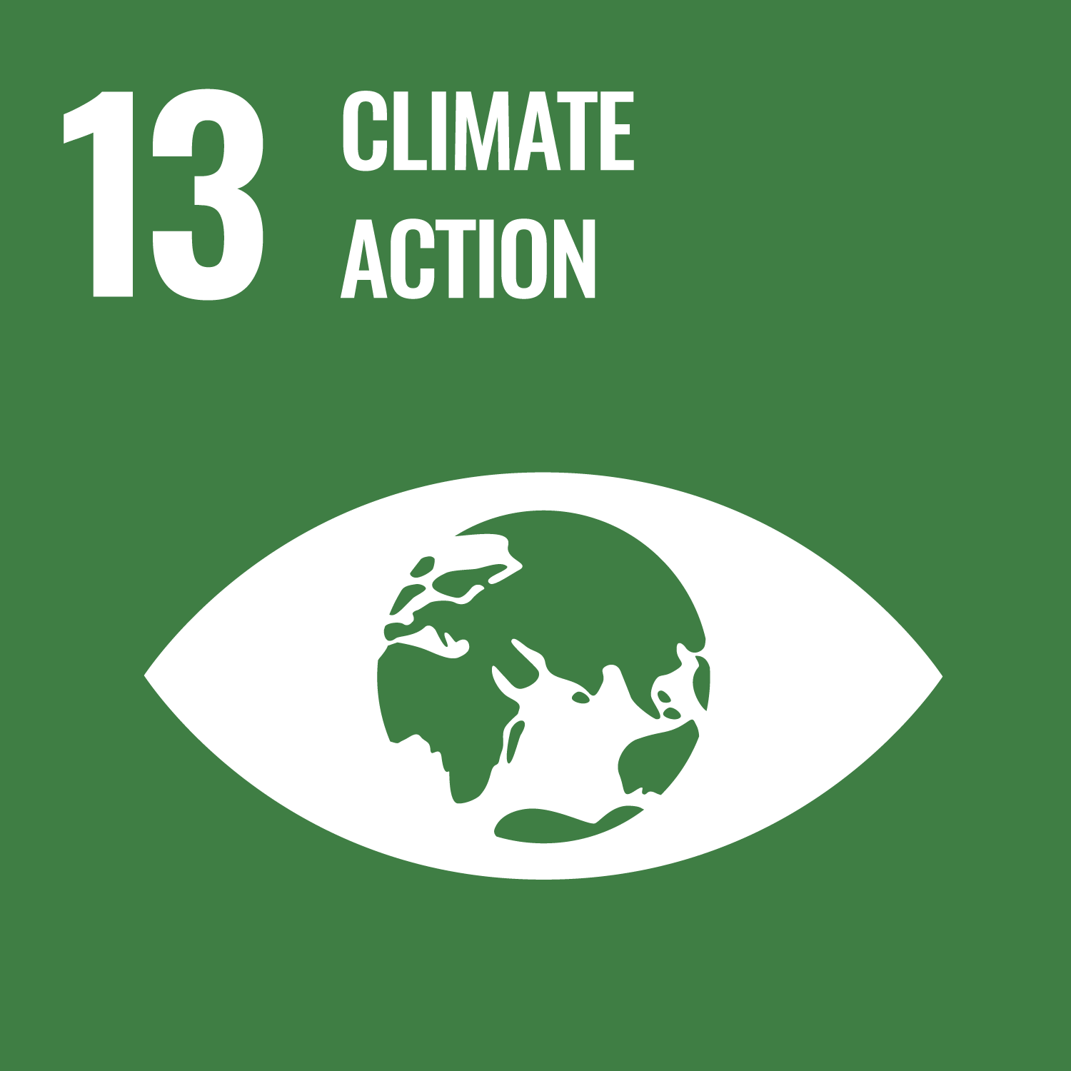 SDG 13 icon - UN Agenda 2030 of Sustainable Development