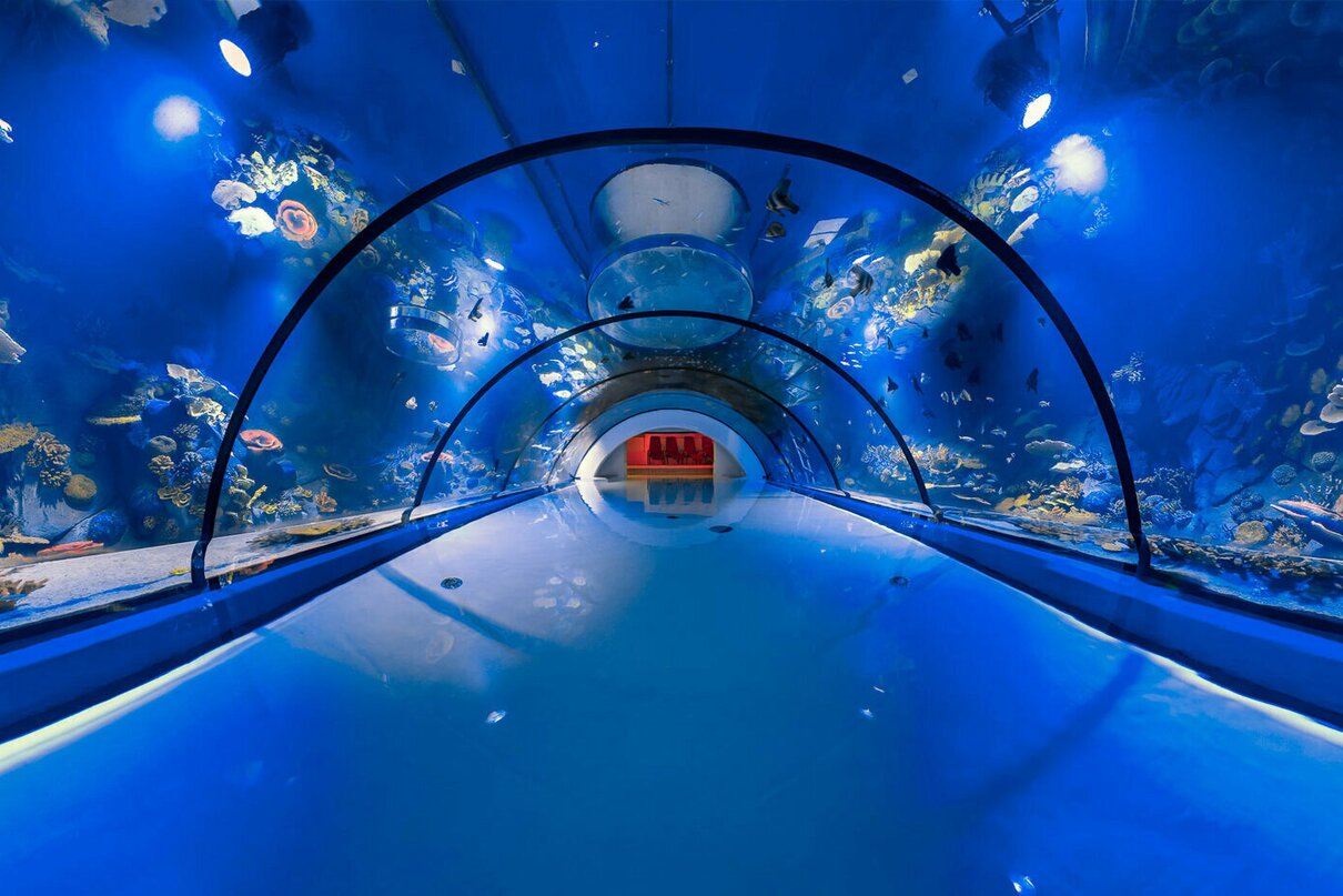Soluzioni per Acquari FIP: ALPENTHERME Family