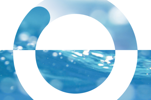 05 - Flussimetri ad Area Variabile Serie Standard e Serie Compatta 2026