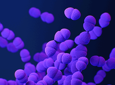 System'O di Aliaxis Italia protegge gli impianti da contaminazioni batteriologiche